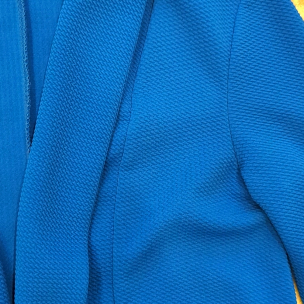 Blue Blazer - Picture 3 of 6